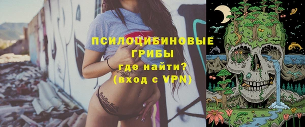 МДМА Алексеевка