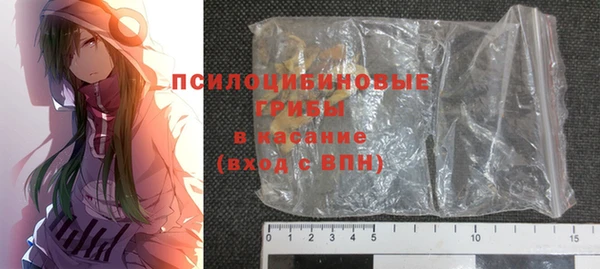 PSILOCYBIN Козловка